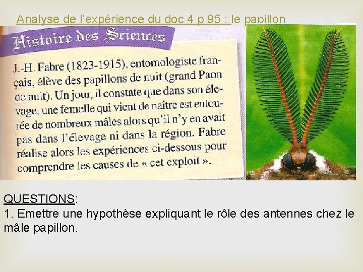 Analyse de l’expérience du doc 4 p 95 : le papillon QUESTIONS: 1. Emettre