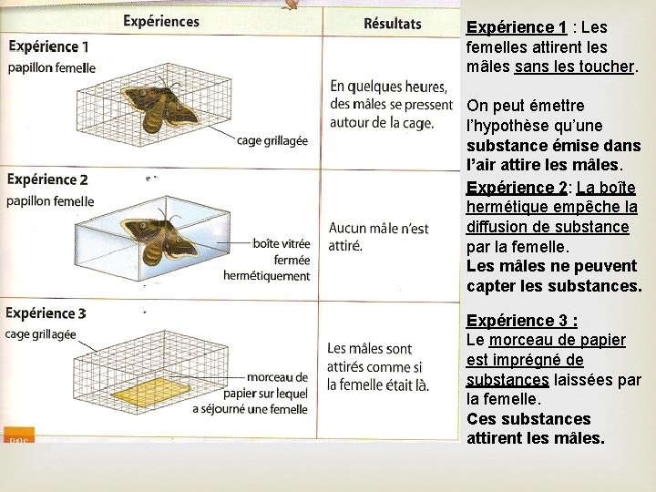 Expérience 1 : Les femelles attirent les mâles sans les toucher. On peut émettre