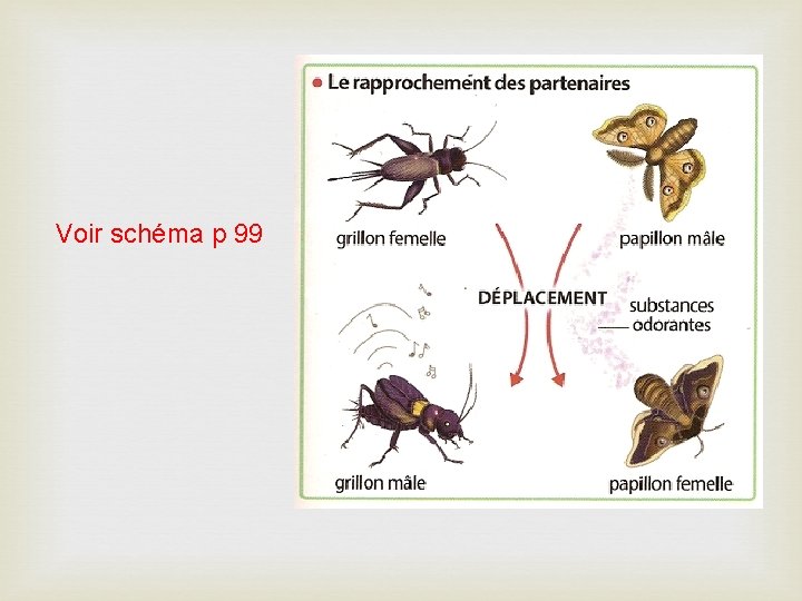 Voir schéma p 99 