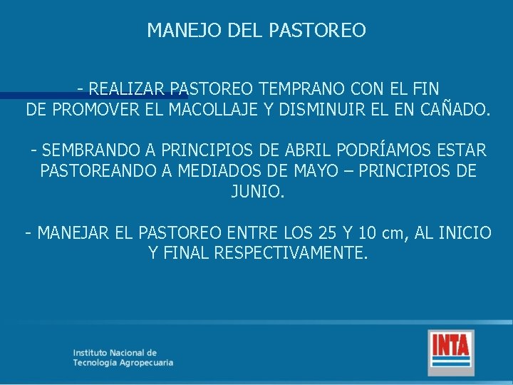 MANEJO DEL PASTOREO - REALIZAR PASTOREO TEMPRANO CON EL FIN DE PROMOVER EL MACOLLAJE