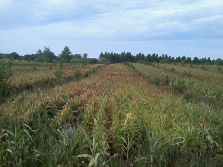 Centro Regional Misiones 