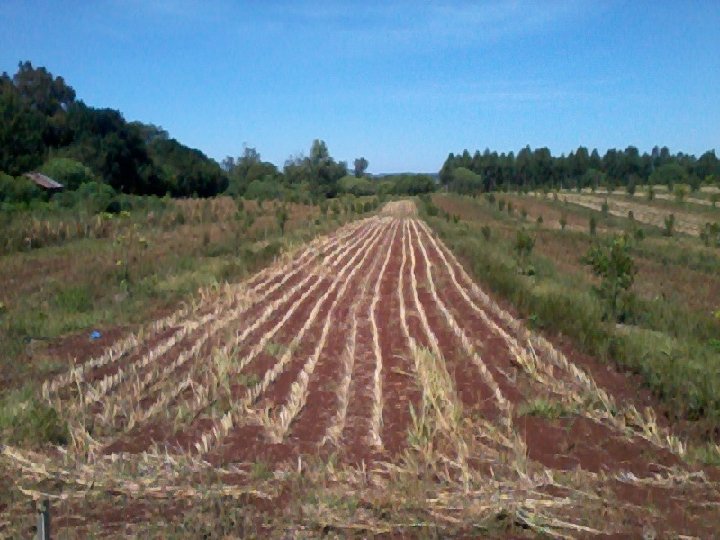 Centro Regional Misiones 