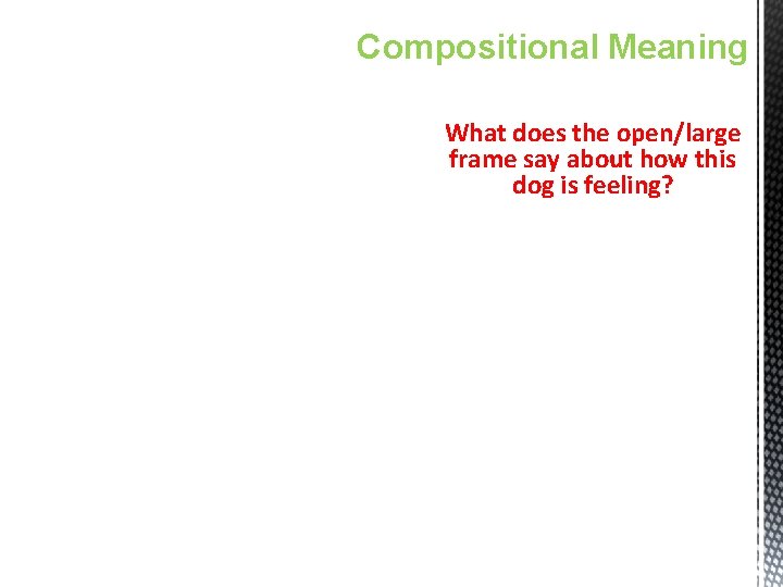 Compositional Meaning What does the open/large frame say about how this dog is feeling?