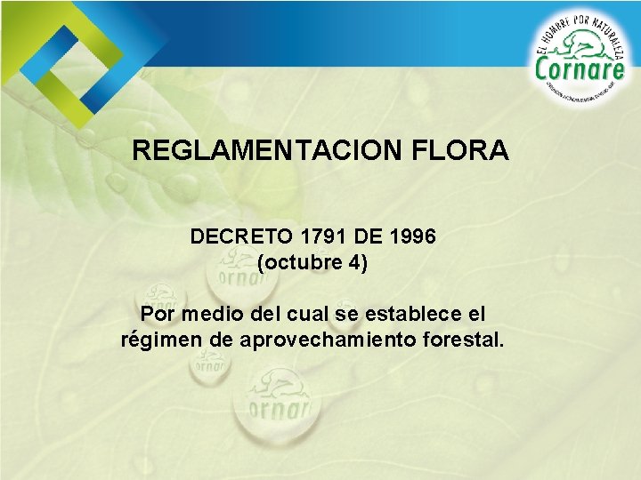 REGLAMENTACION FLORA DECRETO 1791 DE 1996 (octubre 4) Por medio del cual se establece