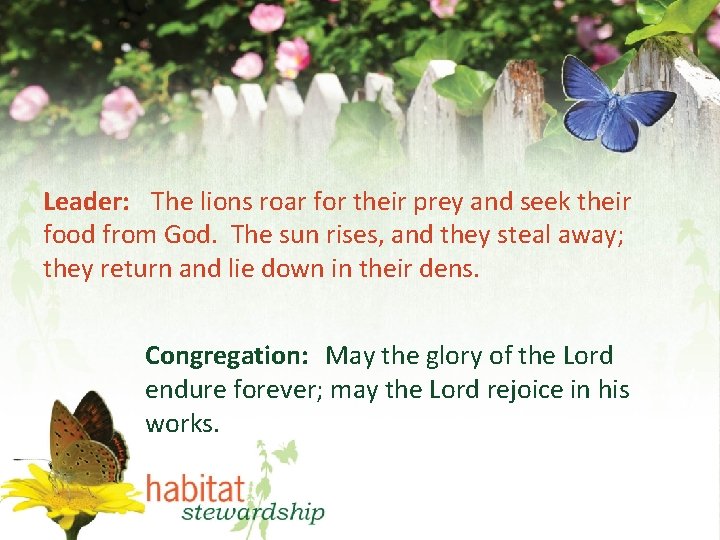 Leader: The lions roar for their prey and seek their food from God. The