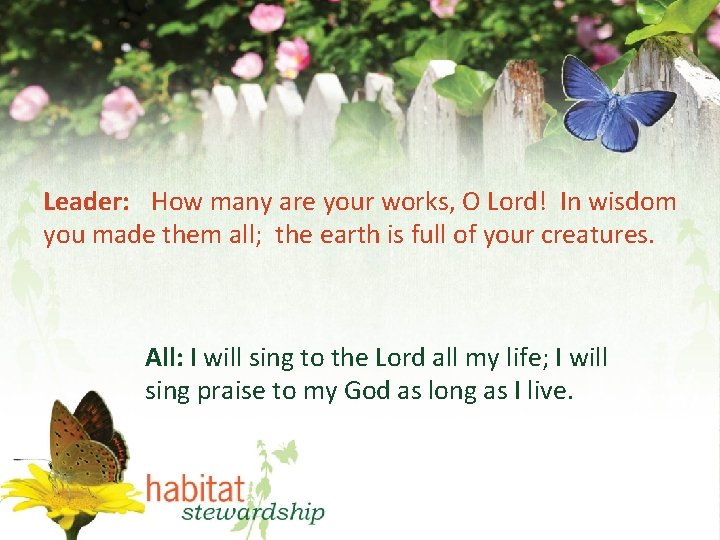 Leader: How many are your works, O Lord! In wisdom you made them all;
