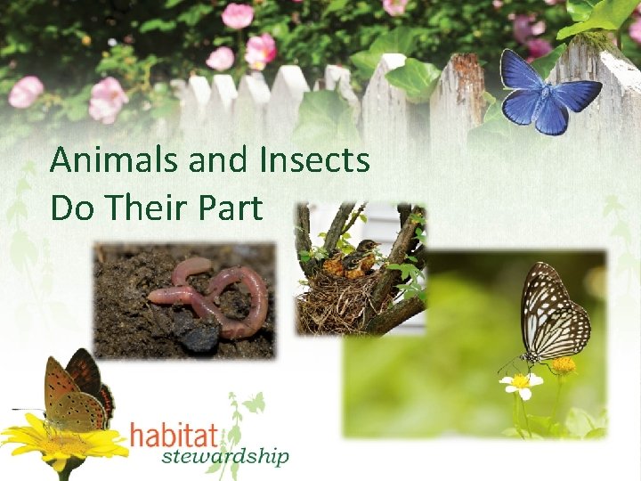 Animals and Insects Do Their Part 