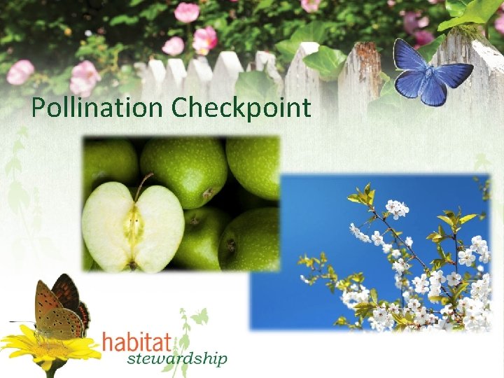 Pollination Checkpoint 