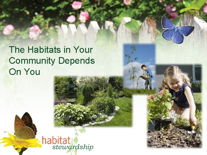 The Habitats in Your Community Depends On You 