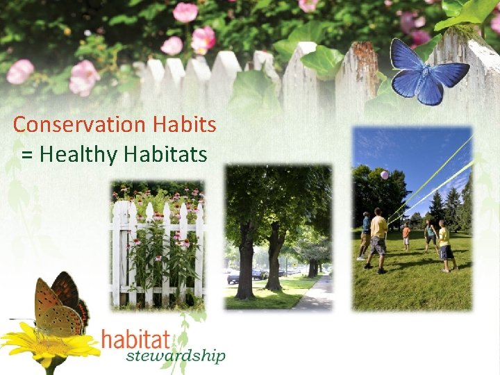 Conservation Habits = Healthy Habitats 