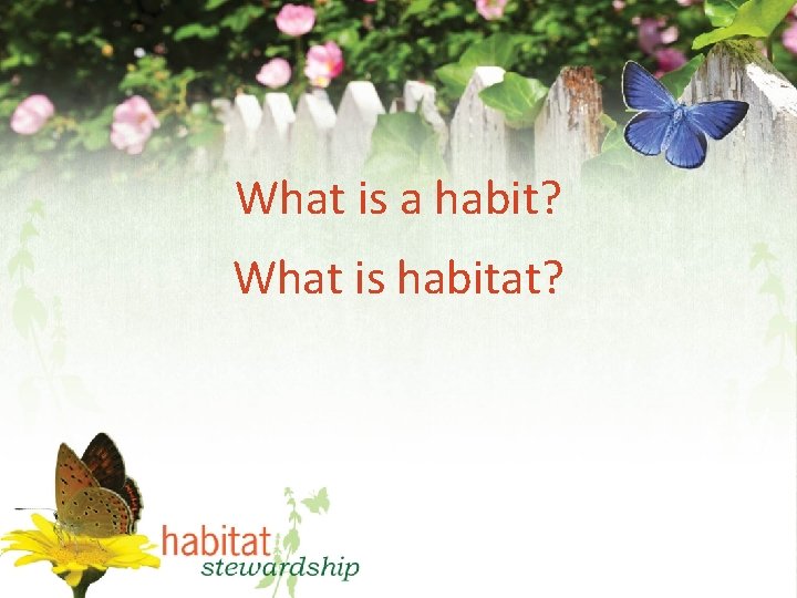 What is a habit? What is habitat? 