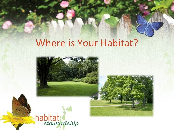 Where is Your Habitat? 