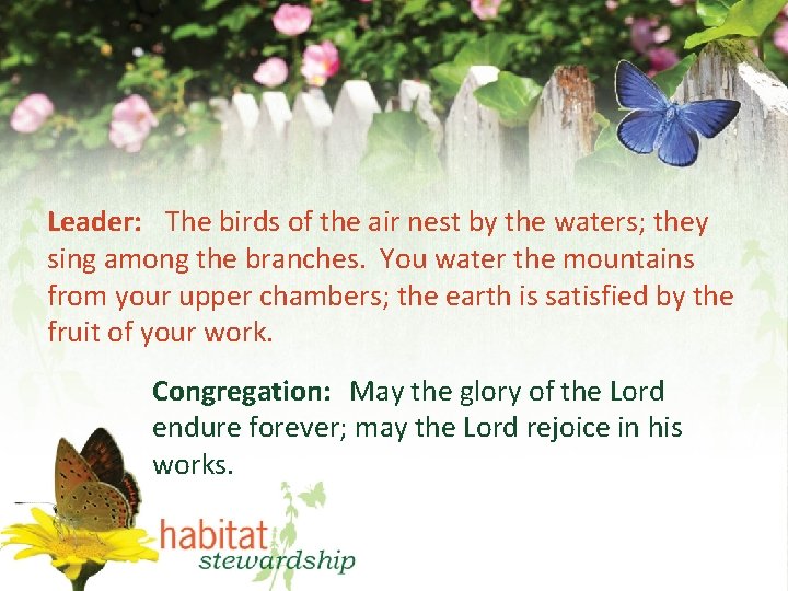 Leader: The birds of the air nest by the waters; they sing among the