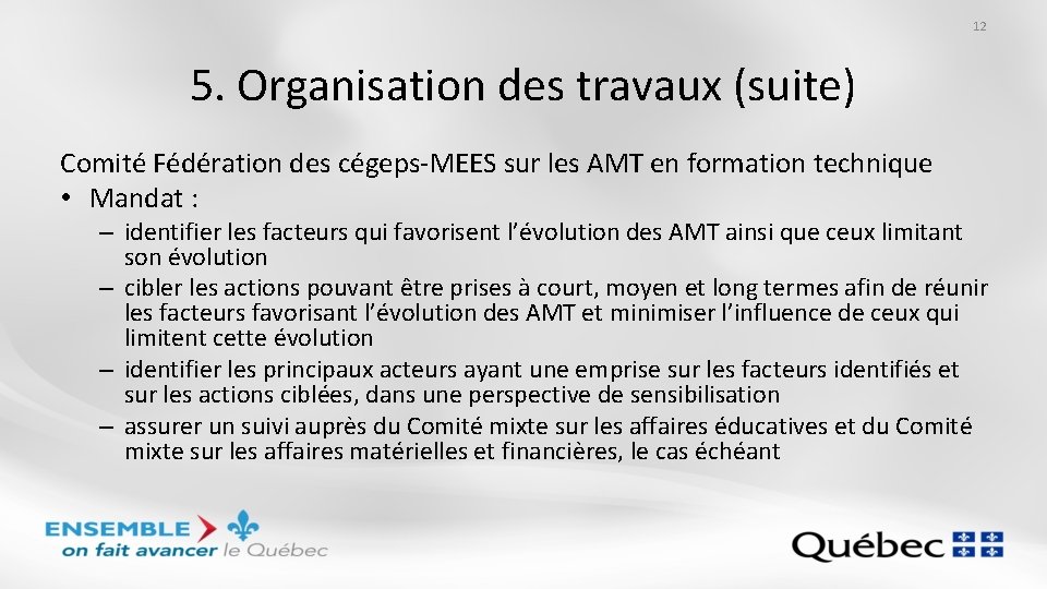 12 5. Organisation des travaux (suite) Comité Fédération des cégeps-MEES sur les AMT en