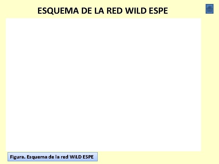 ESQUEMA DE LA RED WILD ESPE Figura. Esquema de la red Wi. LD ESPE