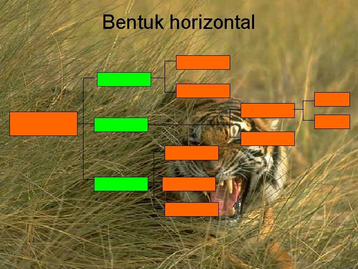 Bentuk horizontal 