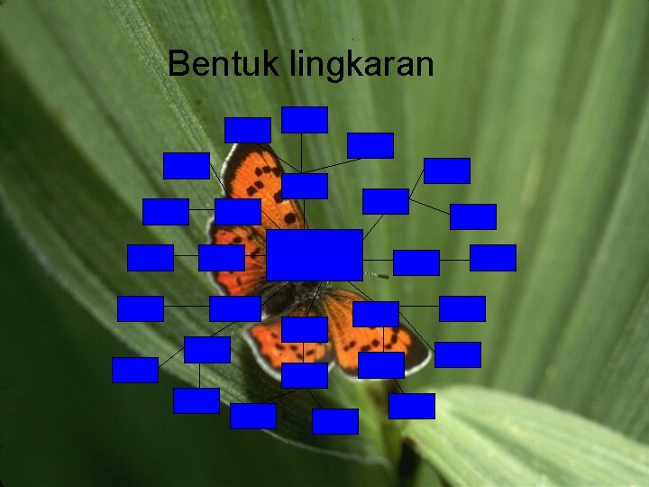 Bentuk lingkaran 