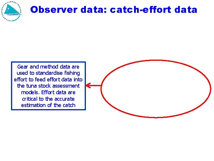Observer data: catch-effort data Gear and method data are used to standardise fishing effort Observer data: catch-effort data Gear and method data are used to standardise fishing effort