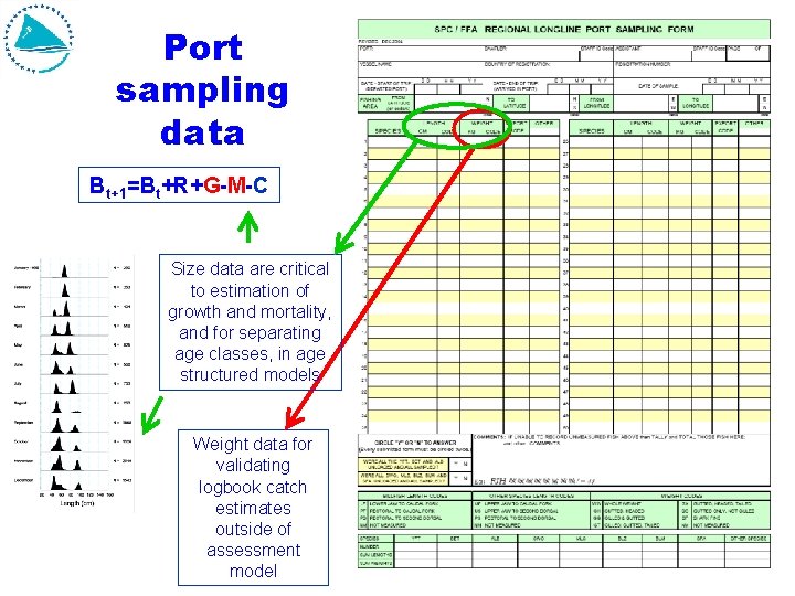 Port sampling data Bt+1=Bt+R+G-M-C Size data are critical to estimation of growth and mortality, Port sampling data Bt+1=Bt+R+G-M-C Size data are critical to estimation of growth and mortality,