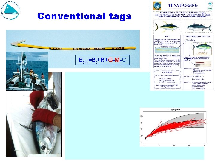 Conventional tags Bt+1=Bt+R+G-M-C Conventional tags Bt+1=Bt+R+G-M-C