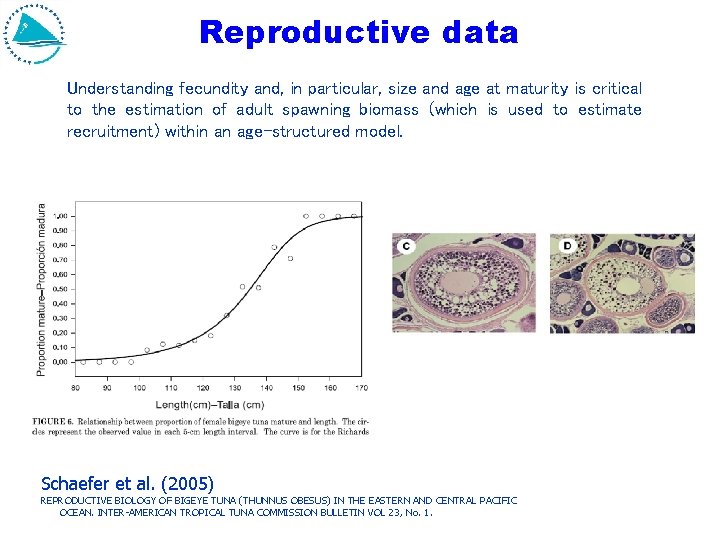 Reproductive data Understanding fecundity and, in particular, size and age at maturity is critical Reproductive data Understanding fecundity and, in particular, size and age at maturity is critical