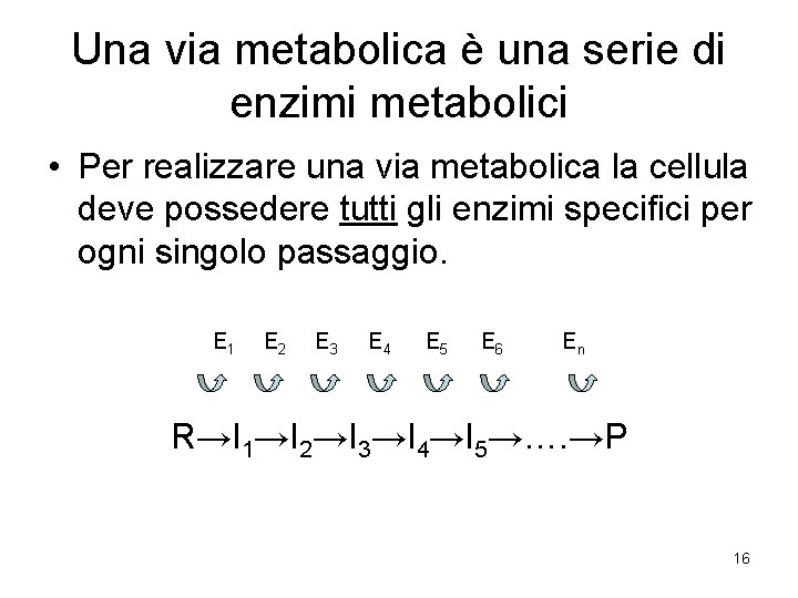 Una via metabolica è una serie di enzimi metabolici • Per realizzare una via