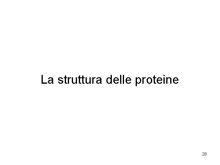 La struttura delle proteine 28 