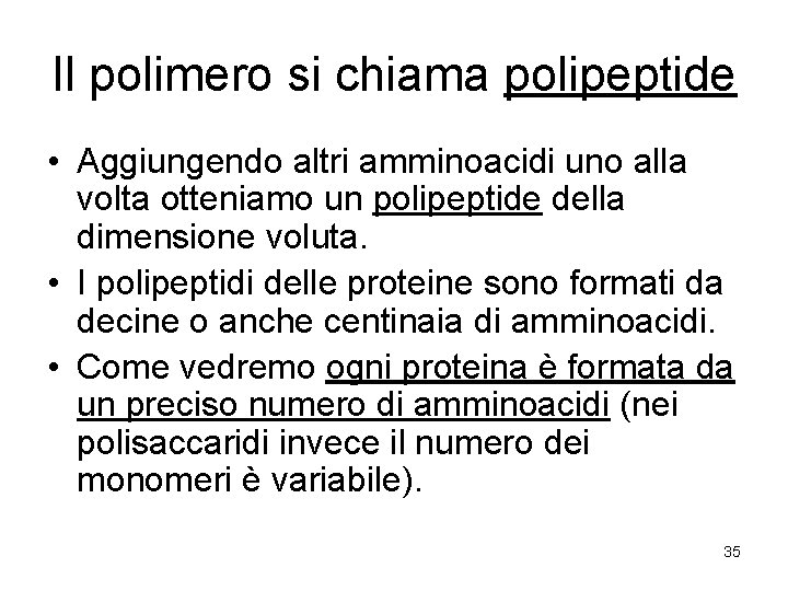 Il polimero si chiama polipeptide • Aggiungendo altri amminoacidi uno alla volta otteniamo un