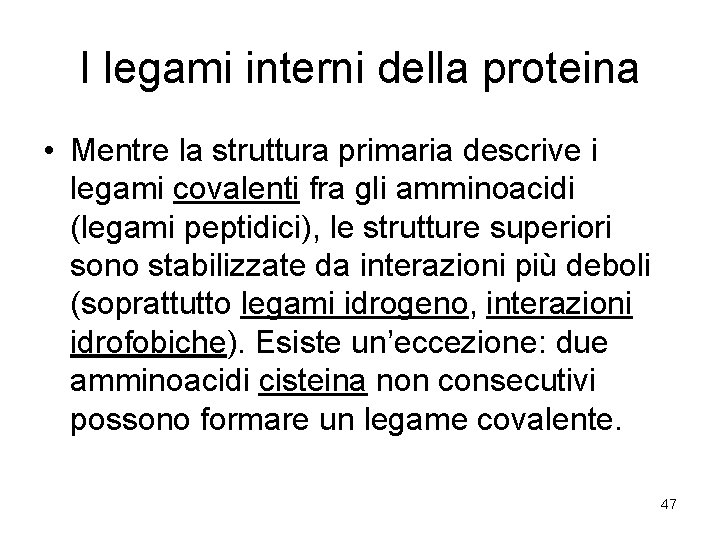 I legami interni della proteina • Mentre la struttura primaria descrive i legami covalenti