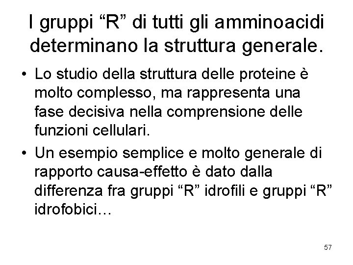 I gruppi “R” di tutti gli amminoacidi determinano la struttura generale. • Lo studio