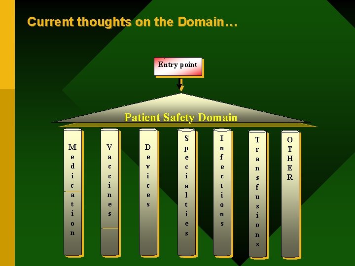 Current thoughts on the Domain… Entry point Patient Safety Domain M e d i