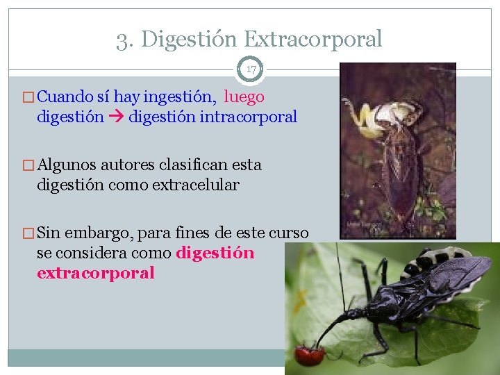 3. Digestión Extracorporal 17 � Cuando sí hay ingestión, luego digestión intracorporal � Algunos