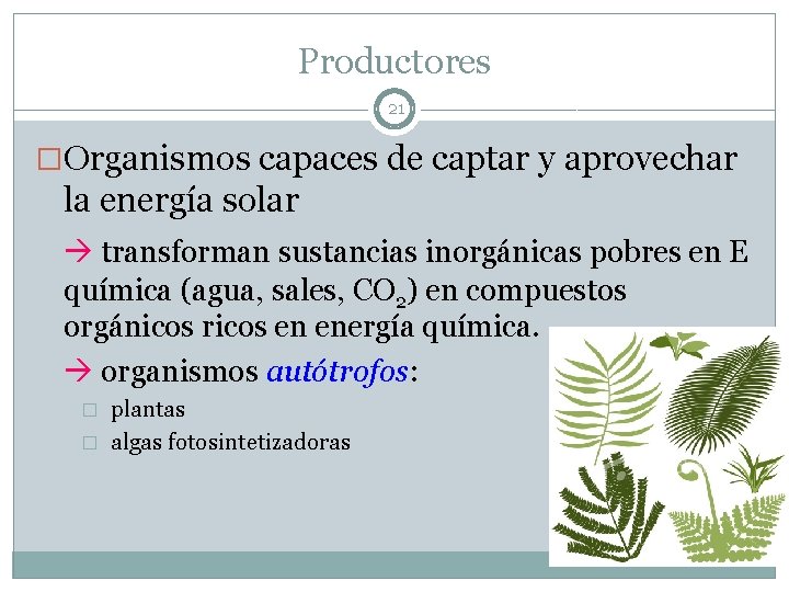 Productores 21 �Organismos capaces de captar y aprovechar la energía solar transforman sustancias inorgánicas