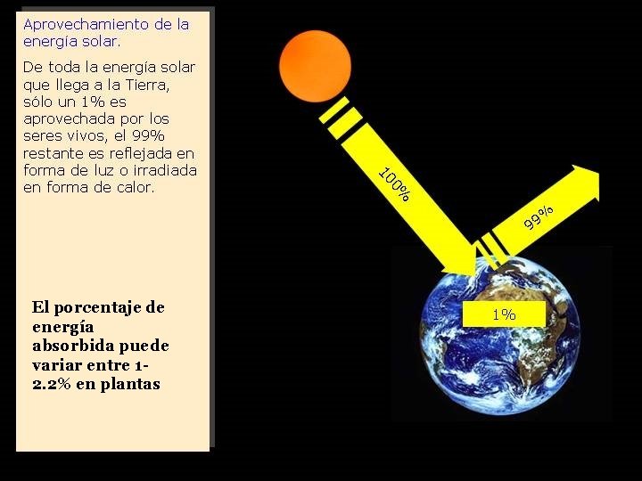 El porcentaje de energía absorbida puede variar entre 12. 2% en plantas 27 
