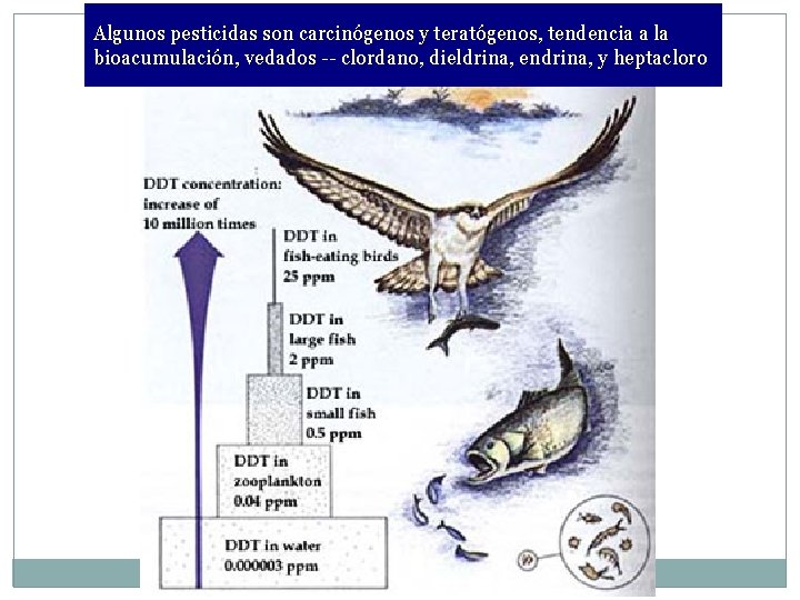 Algunos pesticidas son carcinógenos y teratógenos, tendencia a la bioacumulación, vedados -- clordano, dieldrina,