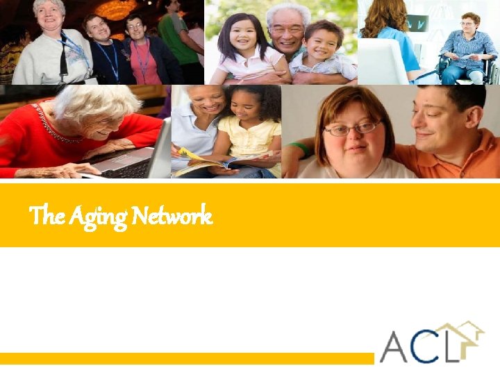 The Aging Network The Aging Network
