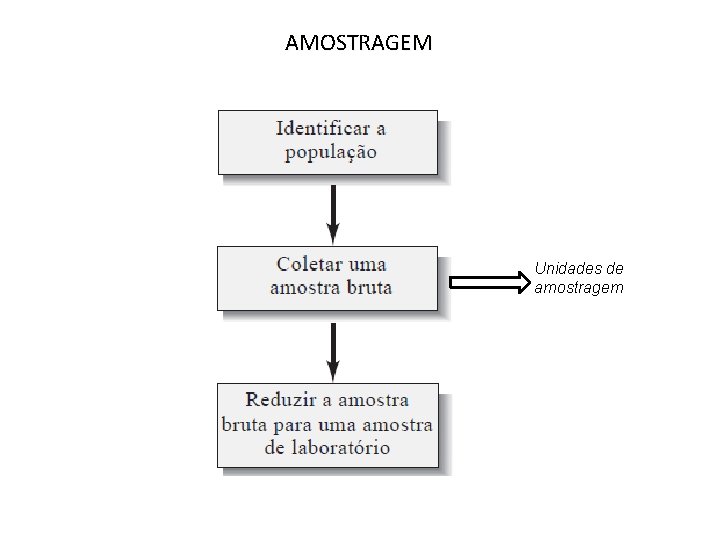 AMOSTRAGEM Unidades de amostragem AMOSTRAGEM Unidades de amostragem