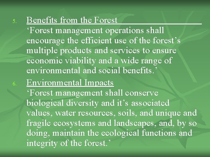 5. 6. Benefits from the Forest ‘Forest management operations shall encourage the efficient use