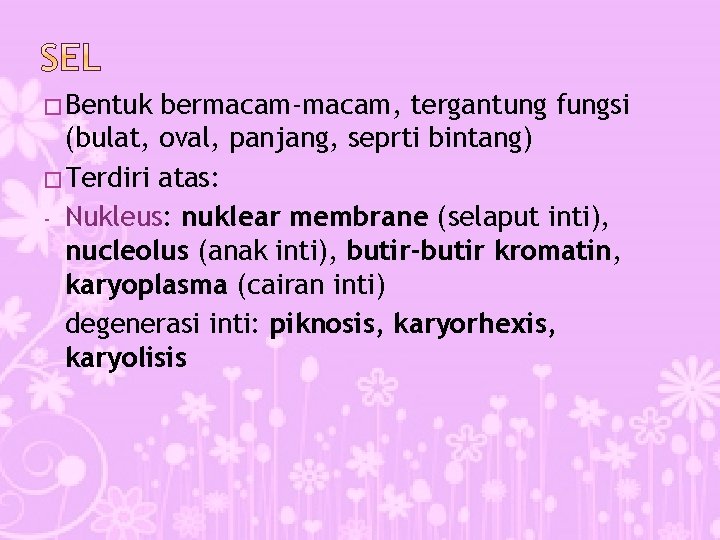 � Bentuk bermacam-macam, tergantung fungsi (bulat, oval, panjang, seprti bintang) � Terdiri atas: -