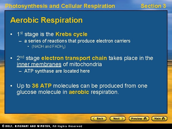 Photosynthesis and Cellular Respiration Section 3 Aerobic Respiration • 1 st stage is the