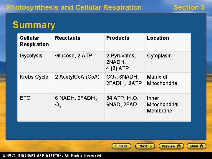 Photosynthesis and Cellular Respiration Section 3 Summary Cellular Respiration Reactants Products Location Gycolysis Glucose,