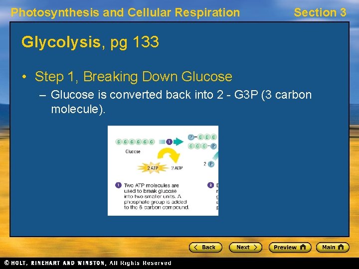 Photosynthesis and Cellular Respiration Section 3 Glycolysis, pg 133 • Step 1, Breaking Down