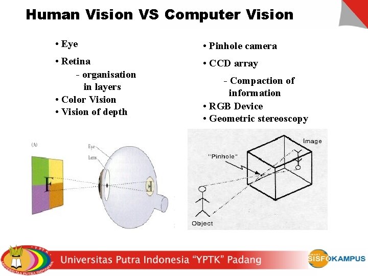 Human Vision VS Computer Vision • Eye • Pinhole camera • Retina - organisation