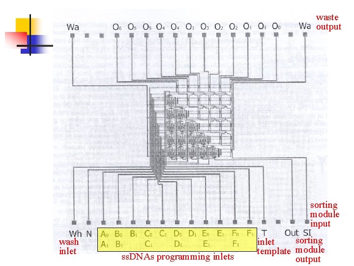 waste output sorting module input wash inlet ss. DNAs programming inlets sorting inlet template