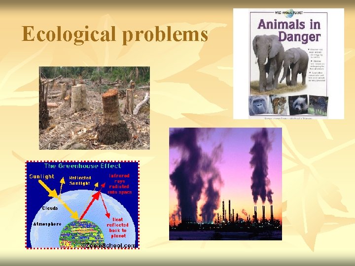 Problem Encounter Man and nature Living in the past and