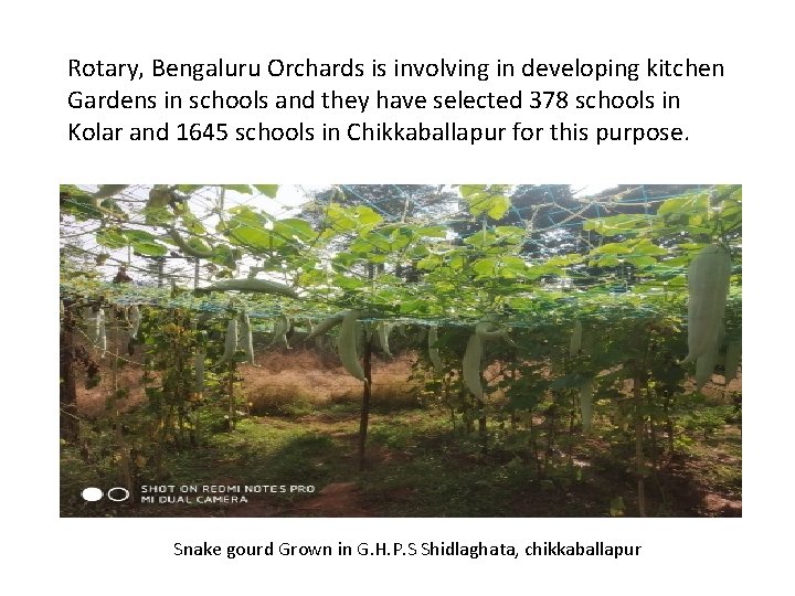 Rotary, Bengaluru Orchards is involving in developing kitchen Gardens in schools and they have Rotary, Bengaluru Orchards is involving in developing kitchen Gardens in schools and they have