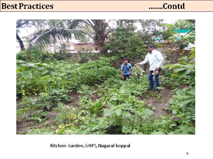 Best Practices ……. Contd Kitchen Garden, GHPS, Nagaral koppal 9 Best Practices ……. Contd Kitchen Garden, GHPS, Nagaral koppal 9