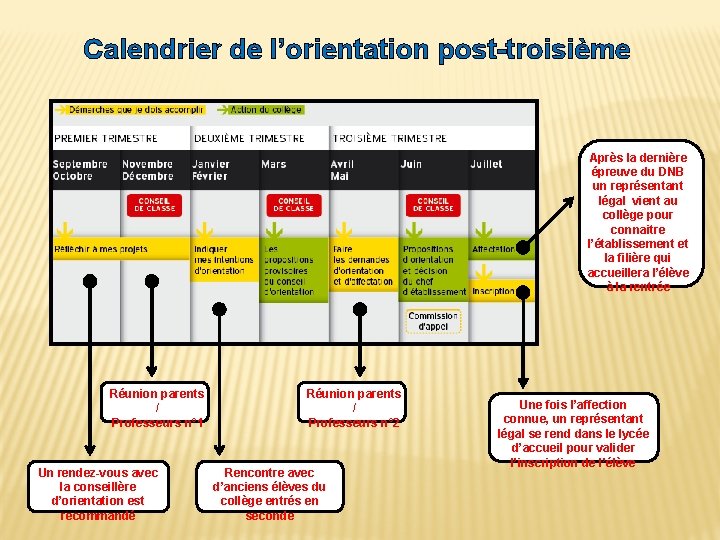 Calendrier de l’orientation post-troisième Après la dernière épreuve du DNB un représentant légal vient Calendrier de l’orientation post-troisième Après la dernière épreuve du DNB un représentant légal vient