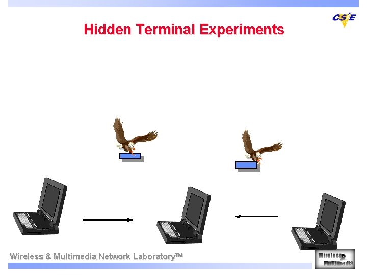 Hidden Terminal Experiments Wireless & Multimedia Network Laboratory 