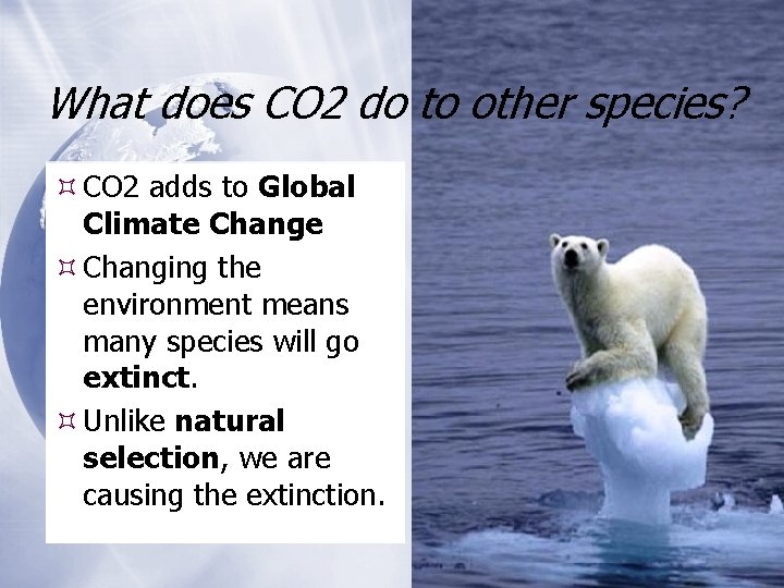 What does CO 2 do to other species? CO 2 adds to Global Climate